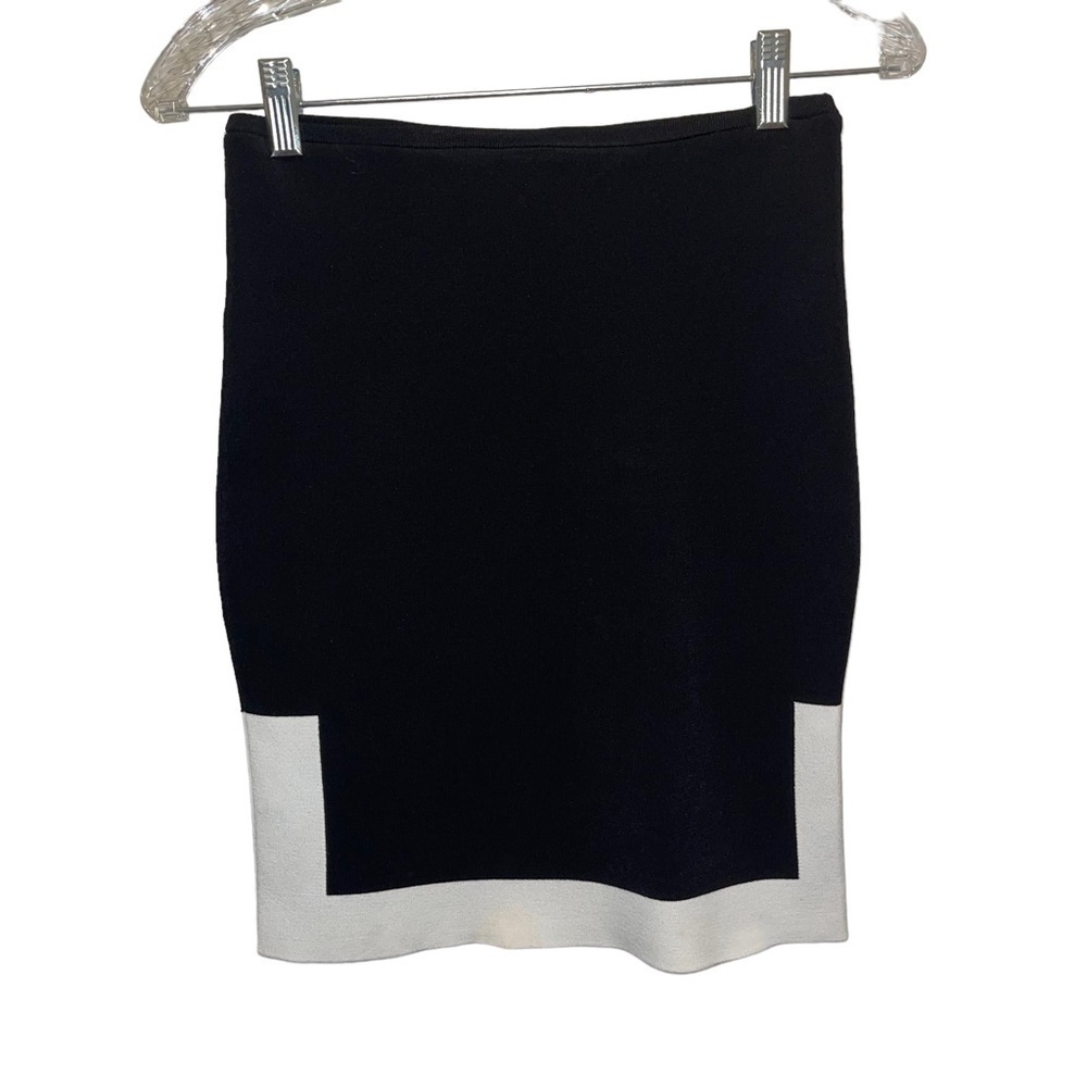 Alexander Wang Women Skirt Size S